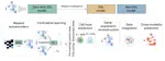 Delineating the effective use of self-supervised learning in single-cell genomics